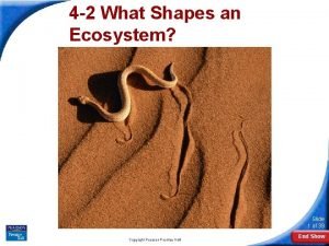 Section 4-2 what shapes an ecosystem Section 4-2 what shapes an ecosystem