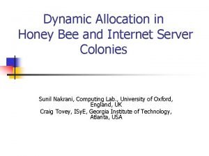 Dynamic Allocation in Honey Bee and Internet Server