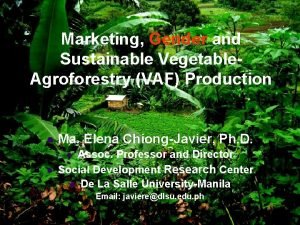 Marketing Gender and Sustainable Vegetable Agroforestry VAF Production