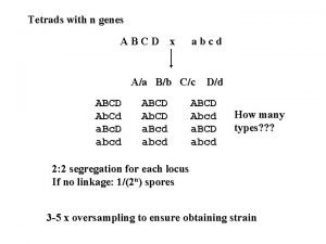 Tetrads with n genes ABCD x abcd Aa