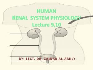 HUMAN RENAL SYSTEM PHYSIOLOGY Lecture 9 10 BY