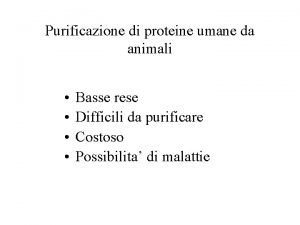 Purificazione di proteine umane da animali Basse rese