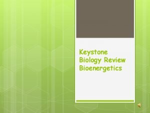 Keystone Biology Review Bioenergetics Photosynthesis Is the process
