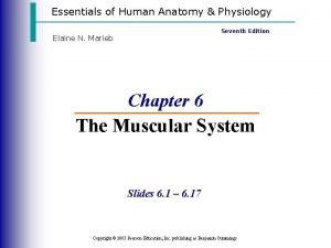 Human anatomy and physiology seventh edition marieb