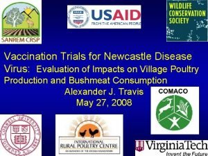 Newcastle disease