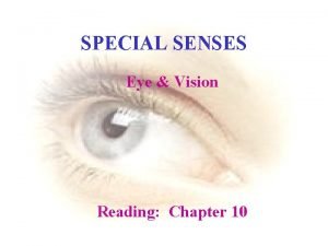 Chapter 10 special senses