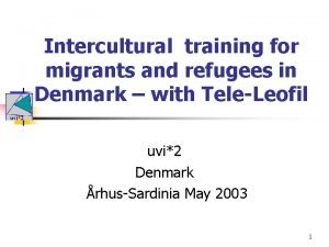 Intercultural training for migrants and refugees in Denmark