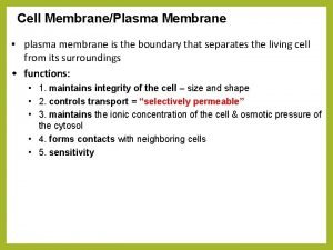 Cell membrane selectively permeable