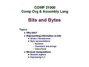 COMP 21000 Comp Org Assembly Lang Bits and