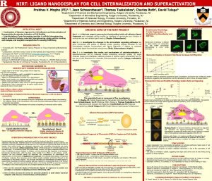 NIRT LIGAND NANODISPLAY FOR CELL INTERNALIZATION AND SUPERACTIVATION