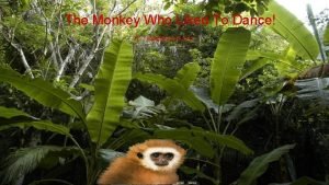 The Monkey Who Liked To Dance BY Madalynn