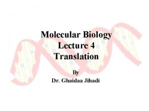 Molecular Biology Lecture 4 Translation By Dr Ghaidaa