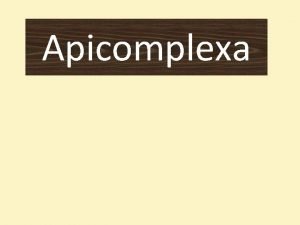 Apicomplexa Apicomplexa Apical complex apicoplast Unicellular sporeforming Exclusively