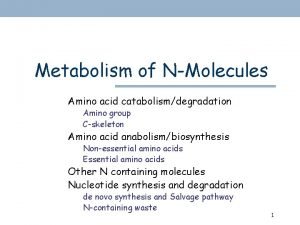 Carbamoyl phosphate synthetase reaction