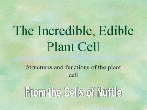 The incredible edible cell