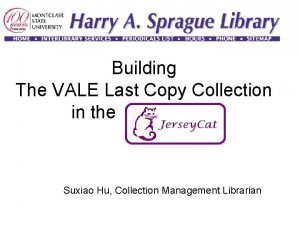 Building The VALE Last Copy Collection in the
