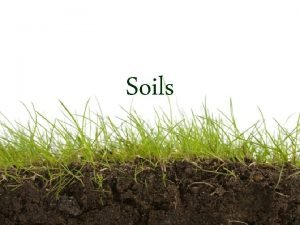 Soils We cant live without it All land