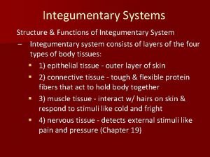 Integumentary Systems Structure Functions of Integumentary System Integumentary