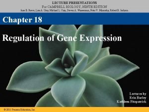 LECTURE PRESENTATIONS For CAMPBELL BIOLOGY NINTH EDITION Jane