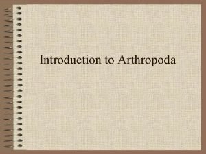 Introduction to arthropods