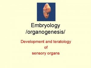 Embryology organogenesis Development and teratology of sensory organs