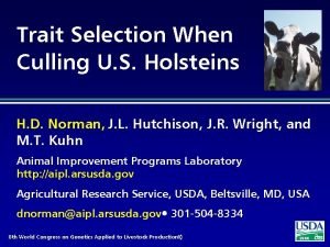 Trait Selection When Culling U S Holsteins H