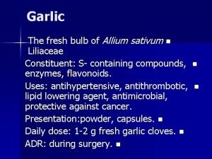 Garlic The fresh bulb of Allium sativum n
