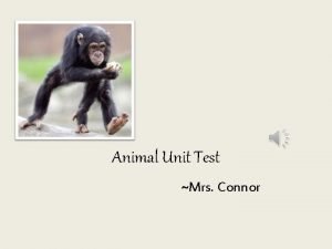 Animal Unit Test Mrs Connor Fish breathe by