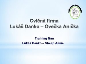 Training firm Luk Danko Sheep Annie Nieo o