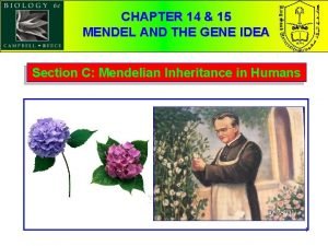 CHAPTER 14 15 MENDEL AND THE GENE IDEA
