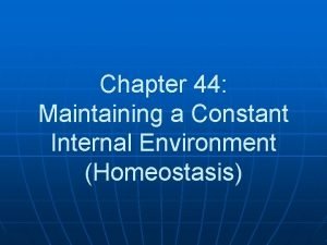 Chapter 44 Maintaining a Constant Internal Environment Homeostasis