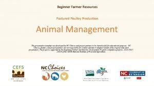 Poultry farmer resources for beginners