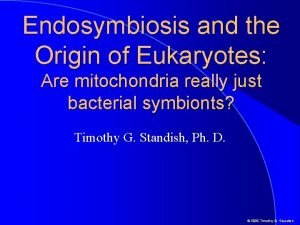 Eukaryotic chromosome structure