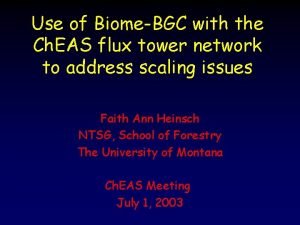 Use of BiomeBGC with the Ch EAS flux
