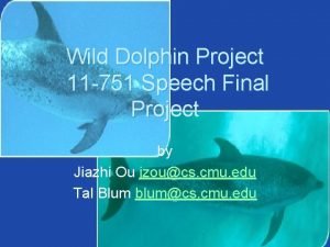 Wild Dolphin Project 11 751 Speech Final Project