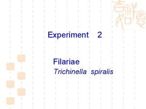 Trichinella spiralis morphology