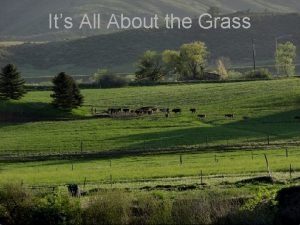 American grassfed association standards