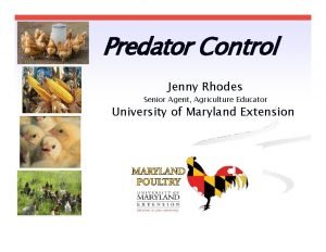 Jenny rhodes agent