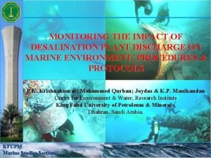 Phytoplankton zooplankton