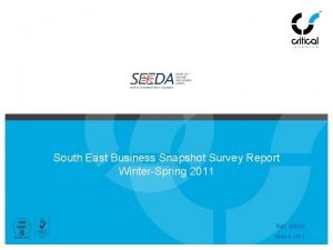 South East Business Snapshot Survey Report WinterSpring 2011