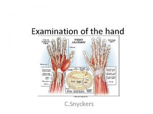 Examination of the hand C Snyckers The hand