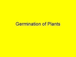 Germination of Plants Germination GERMINATION happens when a