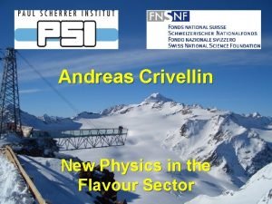 Andreas Crivellin New Physics in the Flavour Sector
