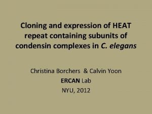 Cloning and expression of HEAT repeat containing subunits