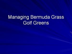 Managing Bermuda Grass Golf Greens Why Bermuda Location