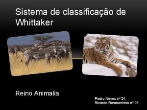 Sistema de classificao de Whittaker Reino Animalia Pedro