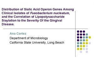 Distribution of Sialic Acid Operon Genes Among Clinical
