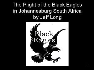 The Plight of the Black Eagles in Johannesburg