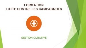 FORMATION LUTTE CONTRE LES CAMPAGNOLS GESTION CURATIVE Surveillance