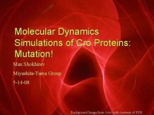 Molecular Dynamics Simulations of Cro Proteins Mutation Max